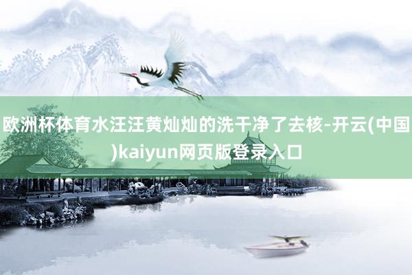 欧洲杯体育水汪汪黄灿灿的洗干净了去核-开云(中国)kaiyun网页版登录入口